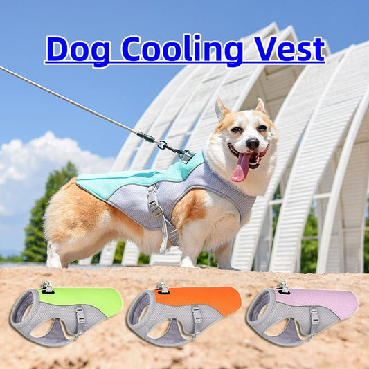 "Cooling Vest for Dogs – Breathable, Sun-Proof Summer Jacket for Small & Large Breeds