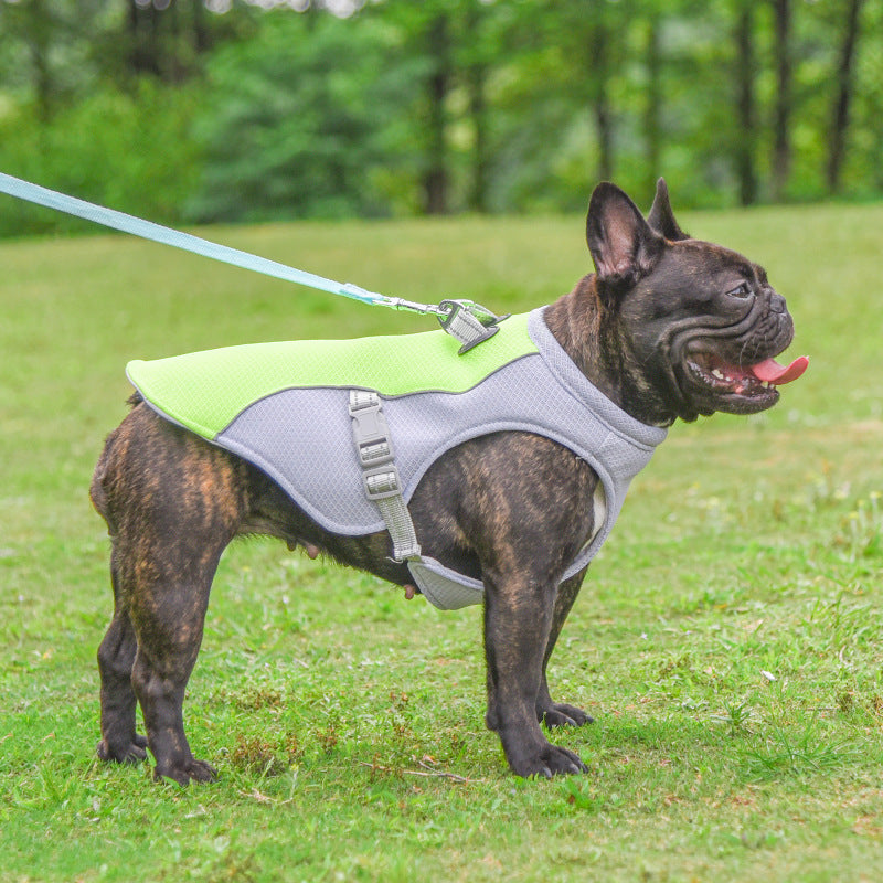 "Cooling Vest for Dogs – Breathable, Sun-Proof Summer Jacket for Small & Large Breeds